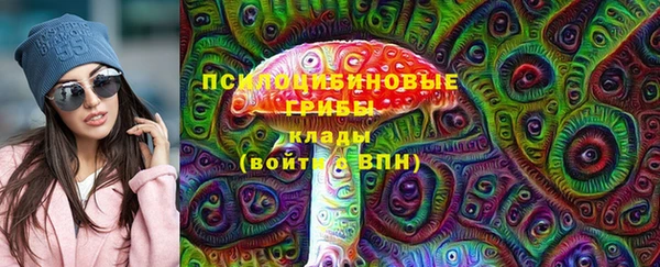 spice Алзамай