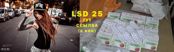 индика Алексеевка