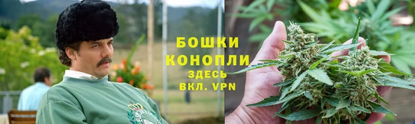 spice Алзамай