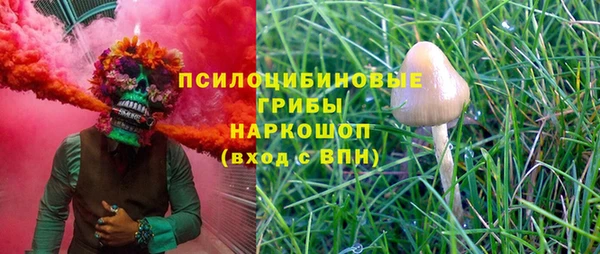 spice Алзамай