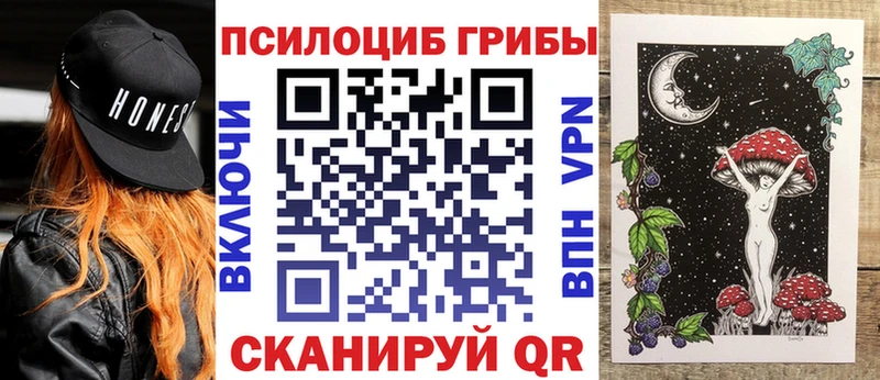 Псилоцибиновые грибы Psilocybe  Гуково 